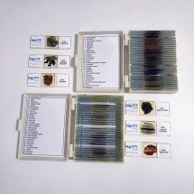 Mineral Grinding Set - Prepared Microscope Slide Set