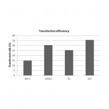 FlyFectin™ Transfection Reagent