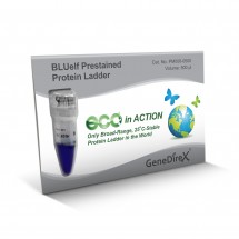 BLUelf Prestained Protein Ladder