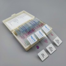 Pathology Set - Prepared Microscope Slide Set