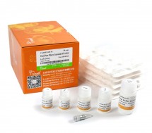 EasyPure® Micro Genomic DNA Kit